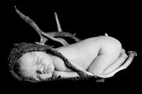 Finn - Newborn Photography