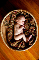Paxton Newborn Photography